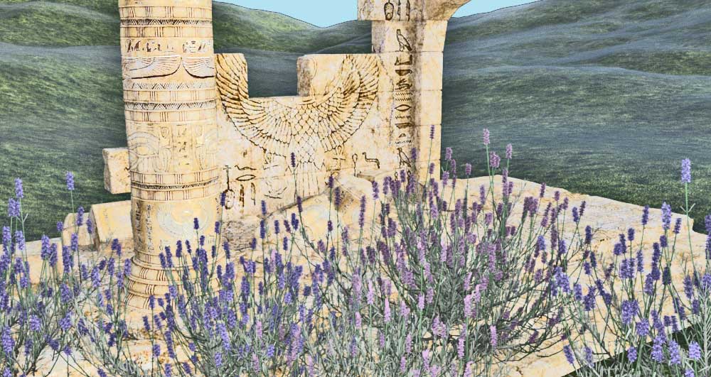Ancient Egypian Lavender